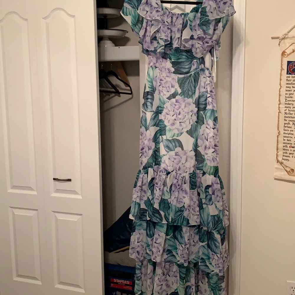 Alexia Ardmor floral maxi dress